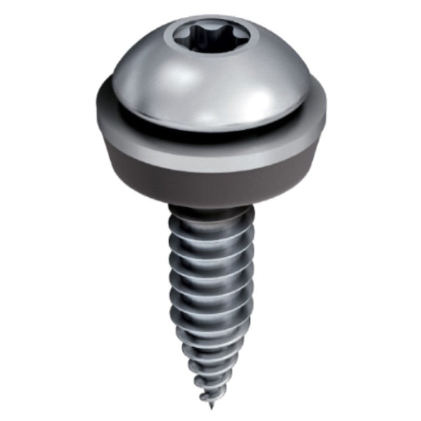 Solfit 25mm EJOT SS Torque-Head Screws