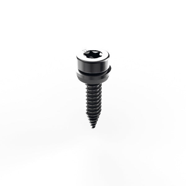 Mounting Systems Metal Screw Sheet 5.5 x 25mm - 806-0309 -