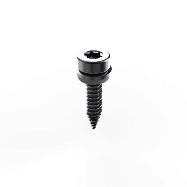 Mounting Systems ProLine Metal-Sheet Screw 806-0309